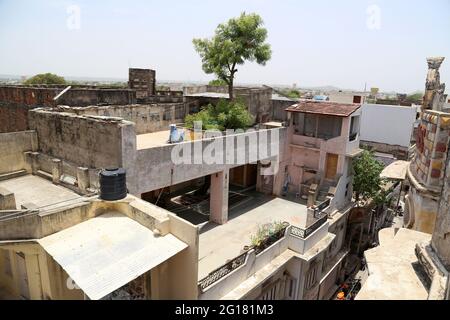 Beawar, Rajasthan, Indien, 5. Juni 2021: Der 130-jährige Neem-Baum kam aus der Terrasse und durchläuft mitten in einem dreistöckigen Haus in Beawar. Eine indische Familie kompromittierte mit dem Entwurf des Hauses, hielt es aber nicht für angemessen, einen Baum zu schneiden, der den Bau des Hauses blockierte. Die Familie ist ein einzigartiges Beispiel für Umweltschutz für diejenigen, die Bäume für die Stadtentwicklung und den Straßenausbau schneiden. Familie glaubt, dass ein Baum die Gesundheit besser hält. Nicht einmal ein einziges Mitglied dieser 35-köpfigen Familie wurde in den letzten zwei Jahren der Corona-Pandemie krank. Kredit: Sumit-Samarwat/Alamy Live Nachrichten Stockfoto