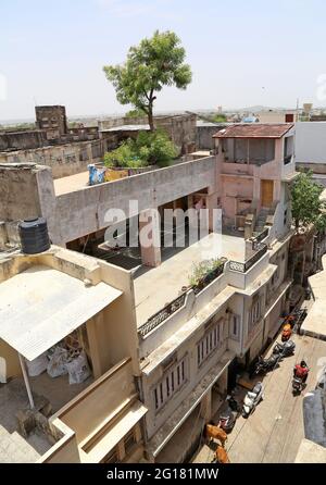 Beawar, Rajasthan, Indien, 5. Juni 2021: Der 130-jährige Neem-Baum kam aus der Terrasse und durchläuft mitten in einem dreistöckigen Haus in Beawar. Eine indische Familie kompromittierte mit dem Entwurf des Hauses, hielt es aber nicht für angemessen, einen Baum zu schneiden, der den Bau des Hauses blockierte. Die Familie ist ein einzigartiges Beispiel für Umweltschutz für diejenigen, die Bäume für die Stadtentwicklung und den Straßenausbau schneiden. Familie glaubt, dass ein Baum die Gesundheit besser hält. Nicht einmal ein einziges Mitglied dieser 35-köpfigen Familie wurde in den letzten zwei Jahren der Corona-Pandemie krank. Kredit: Sumit-Samarwat/Alamy Live Nachrichten Stockfoto