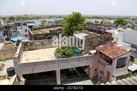 Beawar, Rajasthan, Indien, 5. Juni 2021: Der 130-jährige Neem-Baum kam aus der Terrasse und durchläuft mitten in einem dreistöckigen Haus in Beawar. Eine indische Familie kompromittierte mit dem Entwurf des Hauses, hielt es aber nicht für angemessen, einen Baum zu schneiden, der den Bau des Hauses blockierte. Die Familie ist ein einzigartiges Beispiel für Umweltschutz für diejenigen, die Bäume für die Stadtentwicklung und den Straßenausbau schneiden. Familie glaubt, dass ein Baum die Gesundheit besser hält. Nicht einmal ein einziges Mitglied dieser 35-köpfigen Familie wurde in den letzten zwei Jahren der Corona-Pandemie krank. Kredit: Sumit-Samarwat/Alamy Live Nachrichten Stockfoto