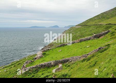 Slea Head Drive ist eine spektakuläre Fahrroute, die Teil des Wild Atlantic Way ist, der sich von Dingle, County, aus über die Küste schlängelt und sich windet Stockfoto