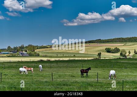 In der Nähe des wupper Stausees, Remscheid, Bergisches Land, Nordrhein-westfalen, Deutschland Stockfoto