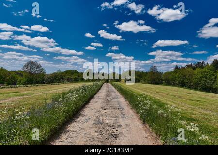 In der Nähe des wupper Stausees, Remscheid, Bergisches Land, Nordrhein-westfalen, Deutschland Stockfoto