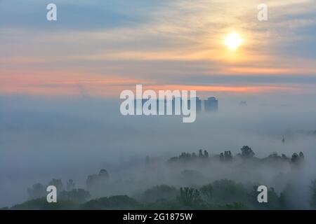 Ein dichter Nebel breitet sich am frühen Morgen tief unter den Bäumen des Stadtparks vor dem Hintergrund der weichen Strahlen der aufgehenden Sonne aus. Stockfoto