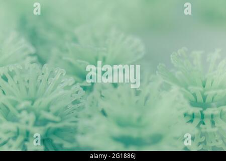 Coronavirus-Hintergrund mit kleinen Plastikkugeln, die das COVID-19-Virus simulieren Stockfoto