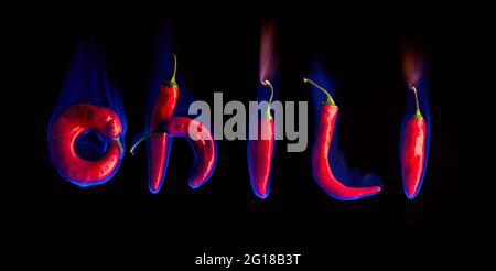 Rote Chilischote mit brennenden Flammen isoliert auf schwarzem Hintergrund Stockfoto