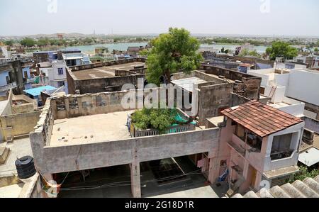 Der 130-jährige Neem-Baum kam aus der Terrasse, geht mitten durch ein dreistöckiges Haus in Beawar. Eine indische Familie kompromittierte mit dem Entwurf des Hauses, hielt es aber nicht für angemessen, einen Baum zu schneiden, der den Bau des Hauses blockierte. Diese Familie ist ein einzigartiges Beispiel für Umweltschutz für diejenigen, die Bäume für die Stadtentwicklung und Straßenerweiterung schneiden. Familie glaubt, dass ein Baum die Gesundheit besser hält. Nicht einmal ein einziges Mitglied dieser 35-köpfigen Familie wurde in den letzten zwei Jahren der Corona-Pandemie krank. (Foto von Sumit Saleswat/Pacific Press) Stockfoto