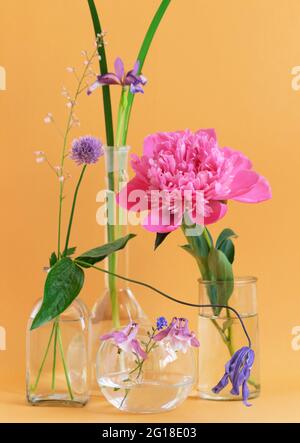 Anordnung von verschiedenen Blumen, Iris, Aquilegia, Pfingstrose in Glasvasen. Stockfoto