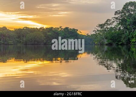 Amazonas Regenwald Lagune Sonnenuntergang, generische Landschaft gefunden in Brasilien, Bolivien, Kolumbien, Ecuador, Französisch Guyana, Surinam, Peru, Venezuela. Stockfoto