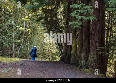 Polkemmet Country Park - ein altes Anwesen verwandelte sich in eine Erholungsressource in den Central Lowlands von Schottland. Stockfoto