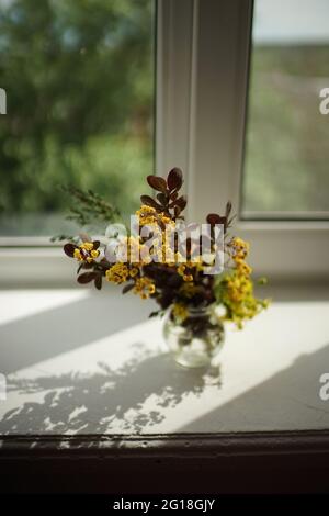 Berberbusch verzweigt mit blühenden gelben Blüten in einer Glasvase auf der Fensterbank. Stockfoto
