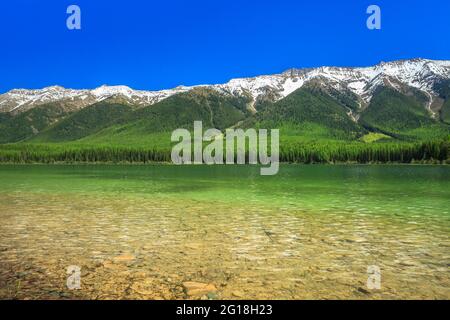 clearwater See unterhalb der Schwanenkette im Lolo National Forest in der Nähe von condon, montana Stockfoto