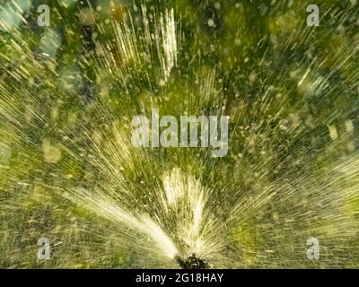 Sprinkler sprühen Wasser auf grünen Gartenhintergrund mit Kopierfläche. Stockfoto