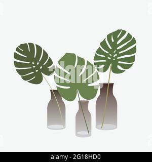 Monstera Blatt in Vase. Drei Blätter tropischer Pflanze im Glas. Vektorgrafik im flachen Stil. Posterdesign. Stock Vektor