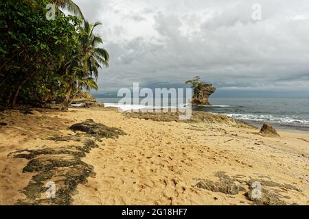 Typisch karibische Küste von Costa Rica in Mittelamerika, Manzanillo oder Cahuita Gegend, Regen- oder Trockenzeit, Palmen, Sandstrand mit den Wellen und Stockfoto