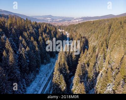 Blick von oben auf einen Winterwald bei einer Kälte Sonniger Tag Stockfoto