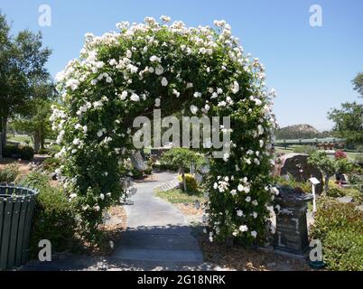 Newhall, California, USA 4. Juni 2021 EIN allgemeiner Blick auf die Atmosphäre des Eternal Valley Memorial Park am 4. Juni 2021 auf dem 23287 Sierra Highway in Newhall, Kalifornien, USA. Foto von Barry King/Alamy Stockfoto Stockfoto