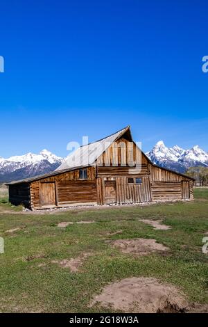 T.A. Molton Barn im historischen Viertel Mormon Row im Grand Teton National Park, Wyoming, vertikal Stockfoto