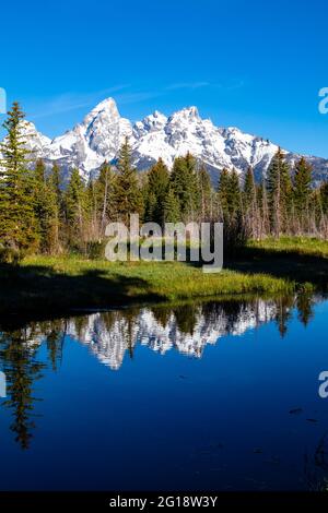 Schwabacher Landung am frühen Morgen im Grand Teton National Park, Wyoming, mit Bergreflexionen auf dem Snake River, vertikal Stockfoto