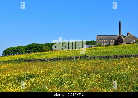 Old Town Mill, Mitchell Mill durch Buttercup Meadow, Hebden Bridge, Calderdale, West Yorkshire Stockfoto