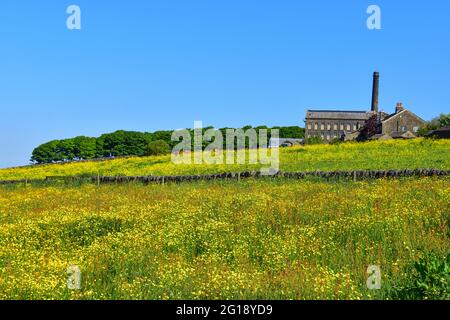 Old Town Mill, Mitchell Mill durch Buttercup Meadow, Hebden Bridge, Calderdale, West Yorkshire Stockfoto