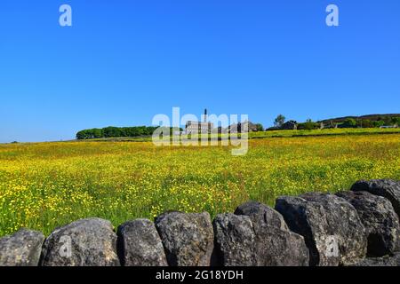 Old Town Mill, Mitchell Mill durch Buttercup Meadow, Hebden Bridge, Calderdale, West Yorkshire Stockfoto