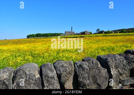Old Town Mill, Mitchell Mill durch Buttercup Meadow, Hebden Bridge, Calderdale, West Yorkshire Stockfoto