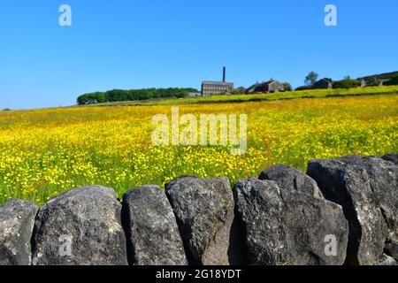 Old Town Mill, Mitchell Mill durch Buttercup Meadow, Hebden Bridge, Calderdale, West Yorkshire Stockfoto