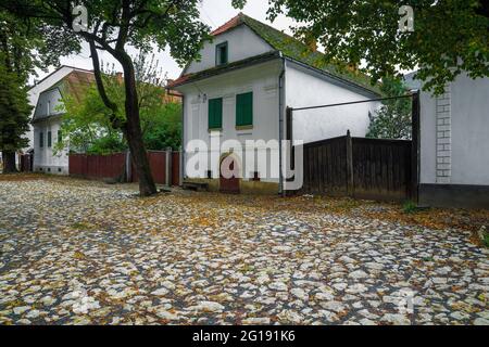 Süße alte ländliche weiße Häuser in Torocko. Rustikale weiß getünchte Häuser in der ruhigen Straße, Rimetea, Alba County, Siebenbürgen, Rumänien, Europa Stockfoto