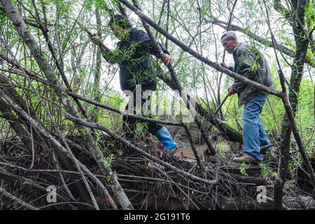 (210606) -- YICHUN, 6. Juni 2021 (Xinhua) -- Zhang Yingshan und seine Frau Yan Yuping gehen in einer Waldfarm, die vom Wumahe Forstbüro in der Stadt Yichun, nordöstlich der chinesischen Provinz Heilongjiang, verwaltet wird, 3. Juni 2021. Zhang Yingshan, 65, arbeitet seit über 45 Jahren mit Bäumen. Nach dem Schritt seines Vaters wurde Zhang 1975 Forstarbeiter im Wumahe Forstamt. Neun Jahre später eröffnete er die erste familiengeführte Waldfarm des Büros, in der jedes Jahr 30 Hektar Bäume gepflanzt wurden. Von 1981 bis 2011 pflanzten Zhang und seine Frau Yan Yuping rund eine Million Bäume o Stockfoto