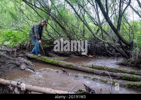 (210606) -- YICHUN, 6. Juni 2021 (Xinhua) -- Zhang Yingshan läuft über einen Fluss in einer Waldfarm, die vom Wumahe Forstbüro in der Stadt Yichun, nordöstlich der Provinz Heilongjiang, verwaltet wird, 3. Juni 2021. Zhang Yingshan, 65, arbeitet seit über 45 Jahren mit Bäumen. Nach dem Schritt seines Vaters wurde Zhang 1975 Forstarbeiter im Wumahe Forstamt. Neun Jahre später eröffnete er die erste familiengeführte Waldfarm des Büros, in der jedes Jahr 30 Hektar Bäume gepflanzt wurden. Von 1981 bis 2011 pflanzten Zhang und seine Frau Yan Yuping rund eine Million Bäume auf der ri Stockfoto