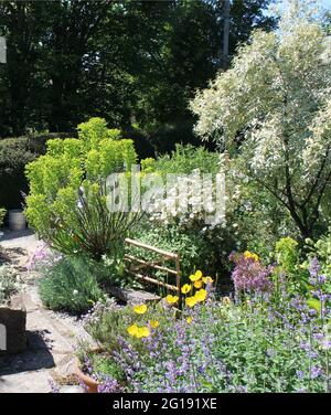 East Lambrook Manor Gardens, Somerset, England. Stockfoto