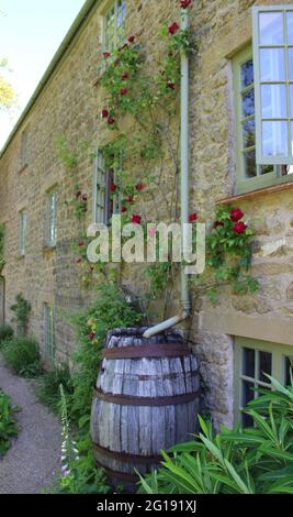 East Lambrook Manor Gardens, Somerset, England. Stockfoto