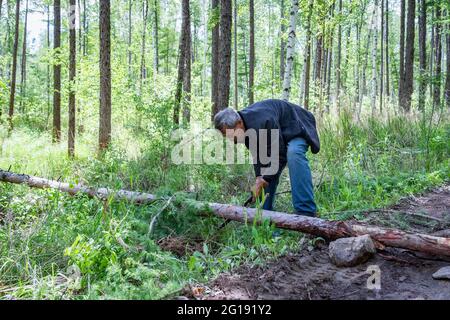 (210606) -- YICHUN, 6. Juni 2021 (Xinhua) -- Zhang Yingshan reinigt einen Bergpfad, indem er einen windgeblasenen Baum in einer Waldfarm entfernt, die vom Wumahe Forstbüro in der Stadt Yichun, nordöstlich der Provinz Heilongjiang, verwaltet wird, 3. Juni 2021. Zhang Yingshan, 65, arbeitet seit über 45 Jahren mit Bäumen. Nach dem Schritt seines Vaters wurde Zhang 1975 Forstarbeiter im Wumahe Forstamt. Neun Jahre später eröffnete er die erste familiengeführte Waldfarm des Büros, in der jedes Jahr 30 Hektar Bäume gepflanzt wurden. Von 1981 bis 2011 pflanzten Zhang und seine Frau Yan Yuping Stockfoto