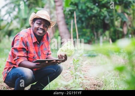 Afrikanischer Landwirt mit Tablette für die Forschung Kohl und Gemüse in Bio-Bauernhof.Landwirtschaft oder Anbaukonzept Stockfoto