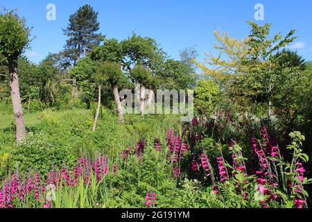 East Lambrook Manor Gardens, Somerset, England. Stockfoto