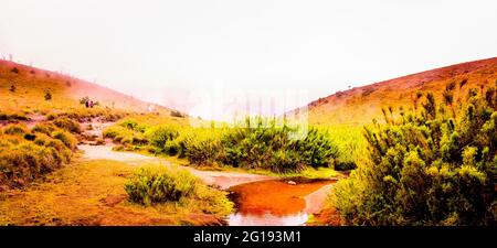 Wandern im Horton Plains National Park an einem regnerischen Morgen Stockfoto