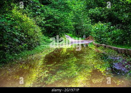 Nach dem Regen im Schwarzen Meer sammelte sich die Reflexion des Wassers auf der Straße Stockfoto