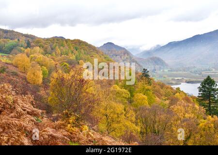 Ashness Wood, Borrowdale Stockfoto