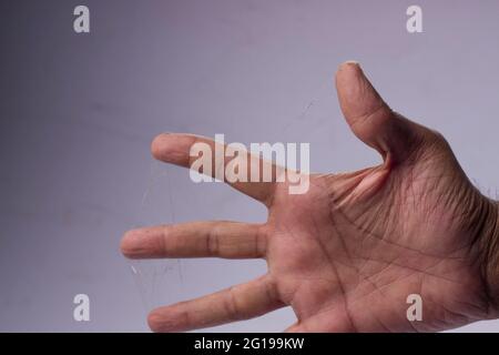 Ein Mann Finger mit Spinnennetz auf weißem Hintergrund bedeckt. Stockfoto