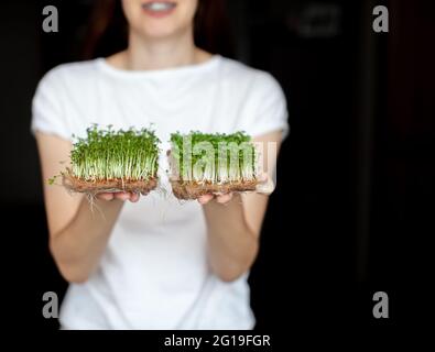 Eine Frau hält zu Hause angebaute Mikrogrüns in ihren Händen. Gesunde und gesunde Ernährung. Vegetarische Gerichte. Micro-Greens für Salate und Mahlzeiten Stockfoto