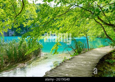 Tiefer Waldbach mit kristallklarem Wasser mit Holzpahway. Plitvicer Seen, Kroatien UNESCO-Weltkulturerbe Stockfoto