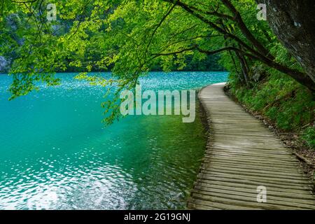 Erstaunlicher touristischer Holzweg in einem malerischen tiefen Wald mit klaren Seen, Nationalpark Plitvice, Kroatien, Europa Stockfoto