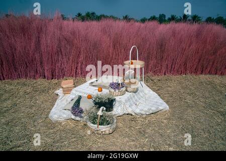 Körbe und Heu werden auf ein großes weißes Tuch gelegt, mit dem die Vorderseite eines rosafarbenen trockenen Baumes im Park geschmückt wird. Stockfoto