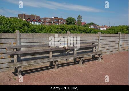 Große Yarmouth Sea Promenade Holzbank mit Blumen links in Erinnerung an ein Paar Stockfoto