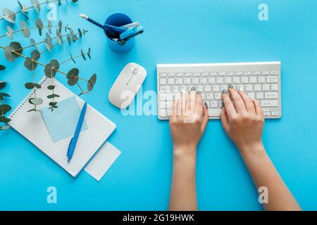 Weibliche Hände tippen auf der Tastatur am Arbeitsplatz auf blauem Hintergrund. Bürobedarf und grüne Eukalyptus-Pflanze am Arbeitsplatz zu Hause. Online arbeiten oder Stockfoto