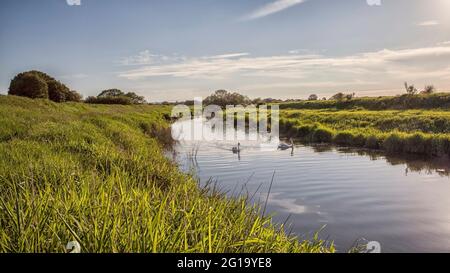 Am Ufer des Flusses Adur, West Sussex Stockfoto