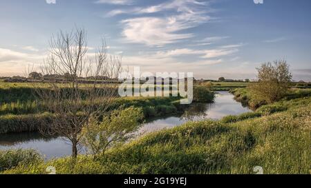 Am Ufer des Flusses Adur, West Sussex Stockfoto