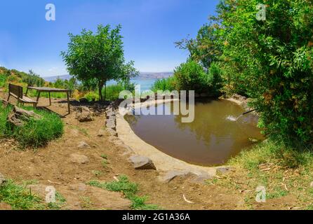 Blick auf ein Planschbecken von ein Shoko (ein A-tina, Feigenquelle), mit dem See von Galilee im Hintergrund. Nord-Israel Stockfoto