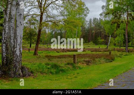 Sowjetischer Friedhof für Häftlinge aus dem Konzentrationslager Stockfoto