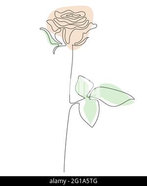 Rose Line Art - schöne Blume. Vektorgrafik. Fortlaufende Linienzeichnung und farbige Flecken. Abstraktes minimalistisches Blumendesign für Cover, Prints, Ho Stock Vektor
